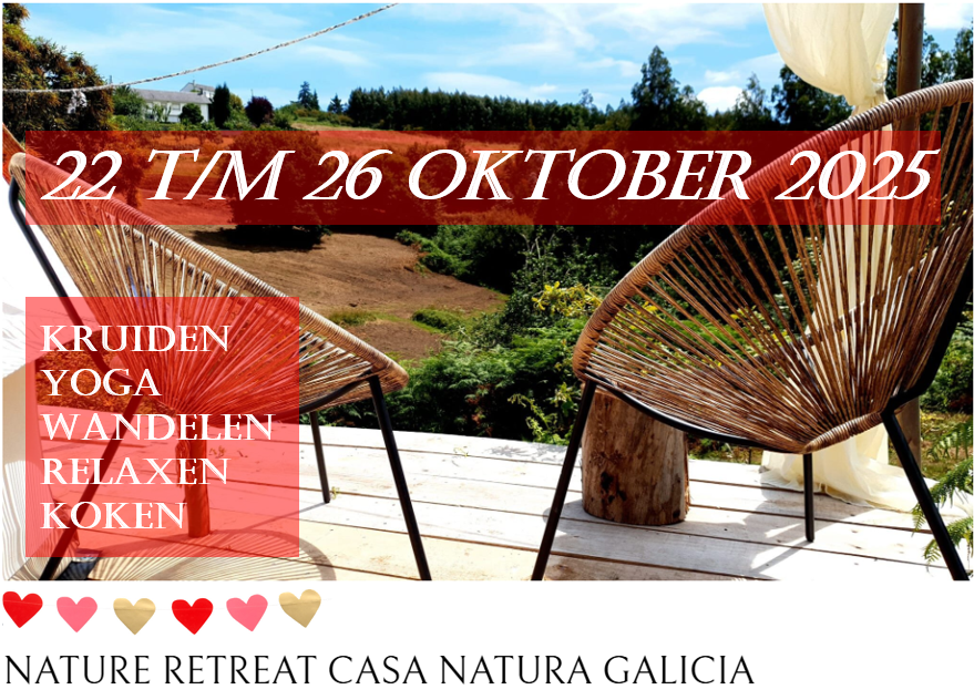 Nature retreat 2025 Casa Natura Galicia.